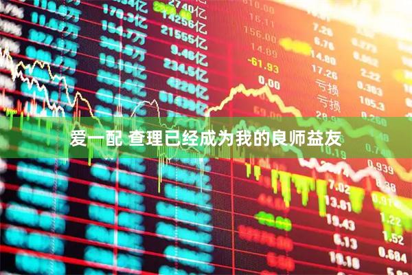 爱一配 查理已经成为我的良师益友