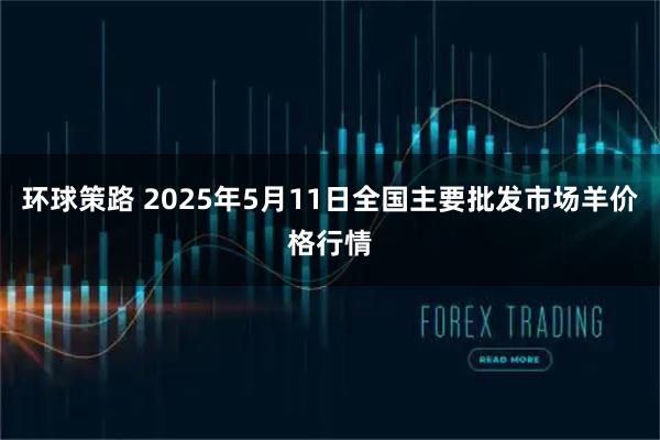 环球策路 2025年5月11日全国主要批发市场羊价格行情