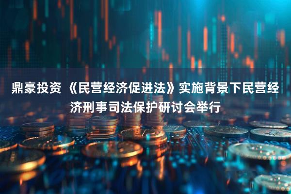 鼎豪投资 《民营经济促进法》实施背景下民营经济刑事司法保护研讨会举行