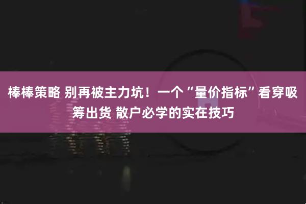 棒棒策略 别再被主力坑！一个“量价指标”看穿吸筹出货 散户必学的实在技巧