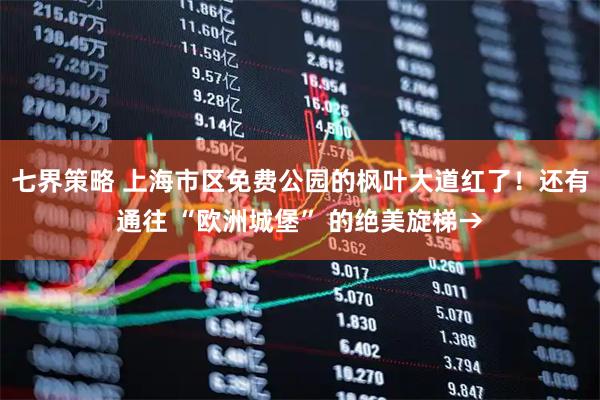 七界策略 上海市区免费公园的枫叶大道红了！还有通往 “欧洲城堡” 的绝美旋梯→